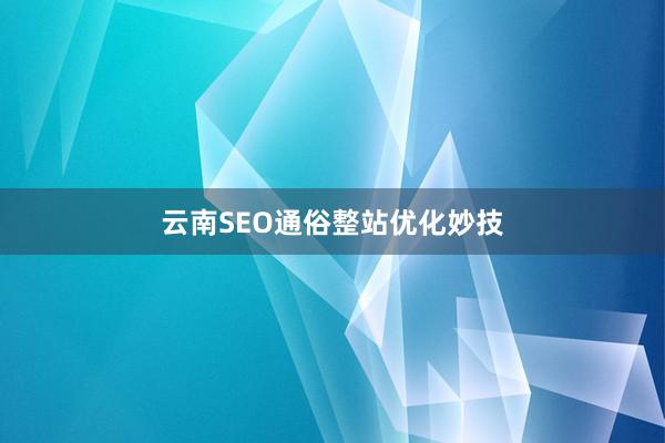 云南SEO通俗整站优化妙技