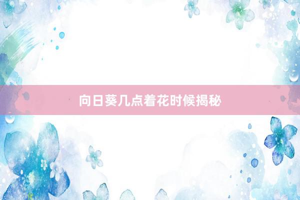 向日葵几点着花时候揭秘