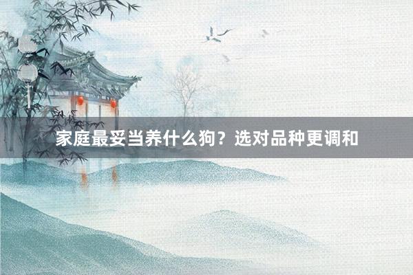 家庭最妥当养什么狗？选对品种更调和