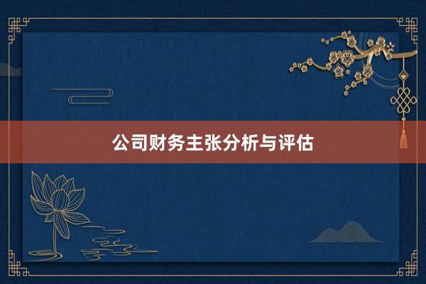 公司财务主张分析与评估