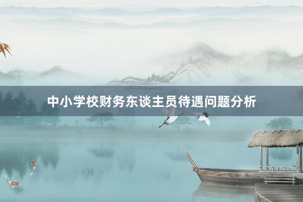 中小学校财务东谈主员待遇问题分析